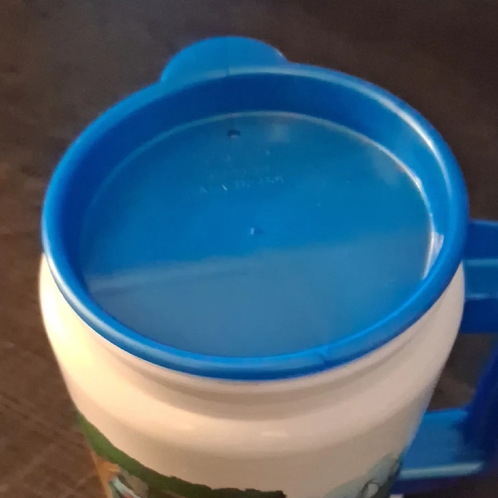2003 Disney's Hilton Head Island Resort travel mug